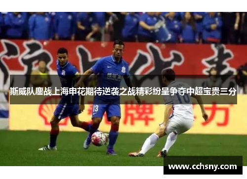 斯威队鏖战上海申花期待逆袭之战精彩纷呈争夺中超宝贵三分