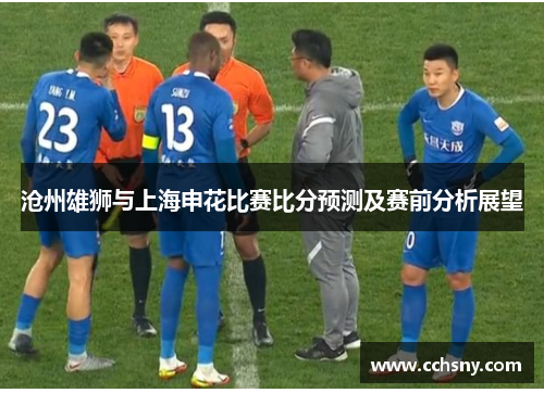 沧州雄狮与上海申花比赛比分预测及赛前分析展望