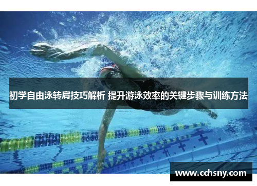 初学自由泳转肩技巧解析 提升游泳效率的关键步骤与训练方法