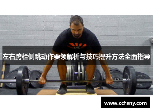 左右跨栏侧跳动作要领解析与技巧提升方法全面指导