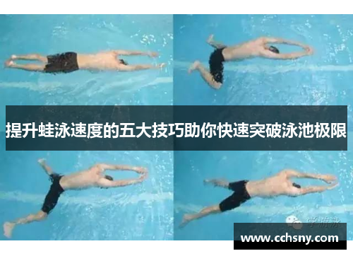 提升蛙泳速度的五大技巧助你快速突破泳池极限