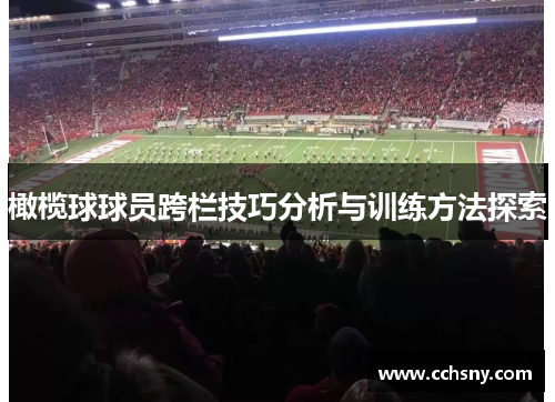 橄榄球球员跨栏技巧分析与训练方法探索