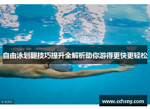 自由泳划腿技巧提升全解析助你游得更快更轻松