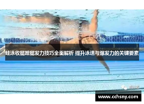 蛙泳收腿蹬腿发力技巧全面解析 提升泳速与爆发力的关键要素