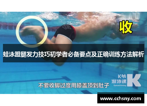 蛙泳蹬腿发力技巧初学者必备要点及正确训练方法解析
