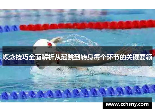 蝶泳技巧全面解析从起跳到转身每个环节的关键要领